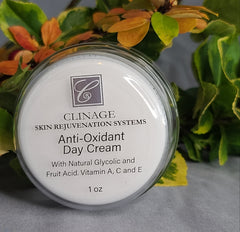Antioxidant Day Cream